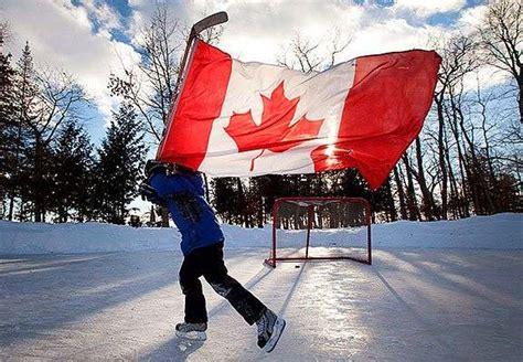 skaterwflag